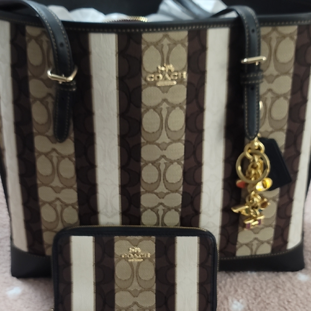 Coach Tan and Brown Striped Tote